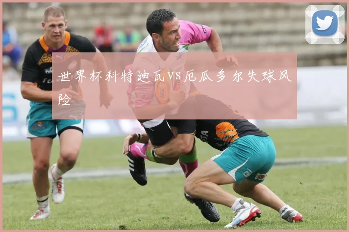 世界杯科特迪瓦vs厄瓜多尔失球风险