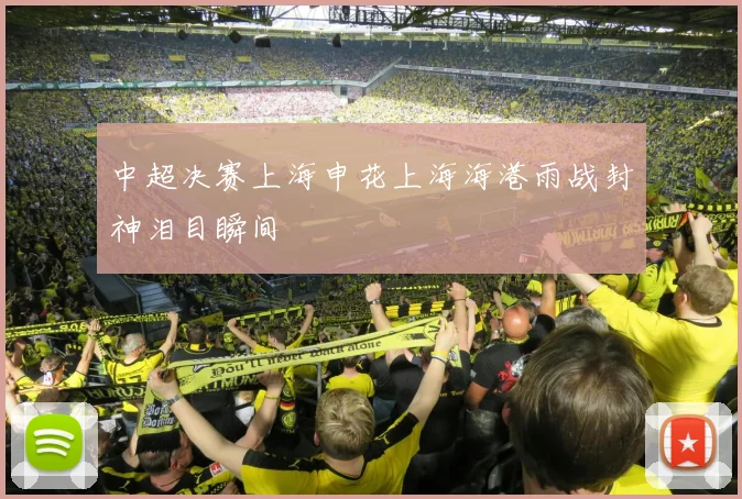 中超决赛上海申花上海海港雨战封神泪目瞬间