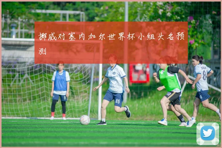 挪威对塞内加尔世界杯小组头名预测