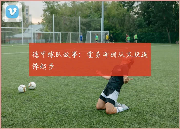 德甲球队故事:霍芬海姆从末段选择起步