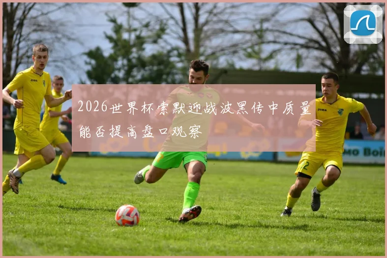 2026世界杯索默迎战波黑传中质量能否提高盘口观察